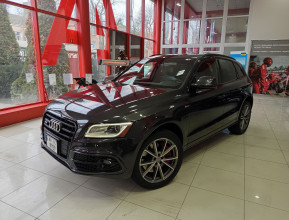 Audi SQ5 2015 - 11 | bex-auto.com