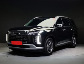 Hyundai Palisade 2023 - 1 | bex-auto.com