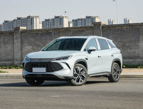 BYD Song L 2025 - 8 | bex-auto.com