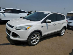 2014 FORD ESCAPE TITANIUM - 8 | bex-auto.com