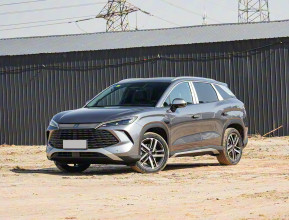 BYD Song L 2025 - 8 | bex-auto.com