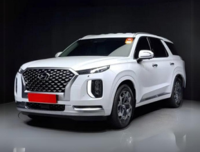 Hyundai Palisade 2021 - 2 | bex-auto.com