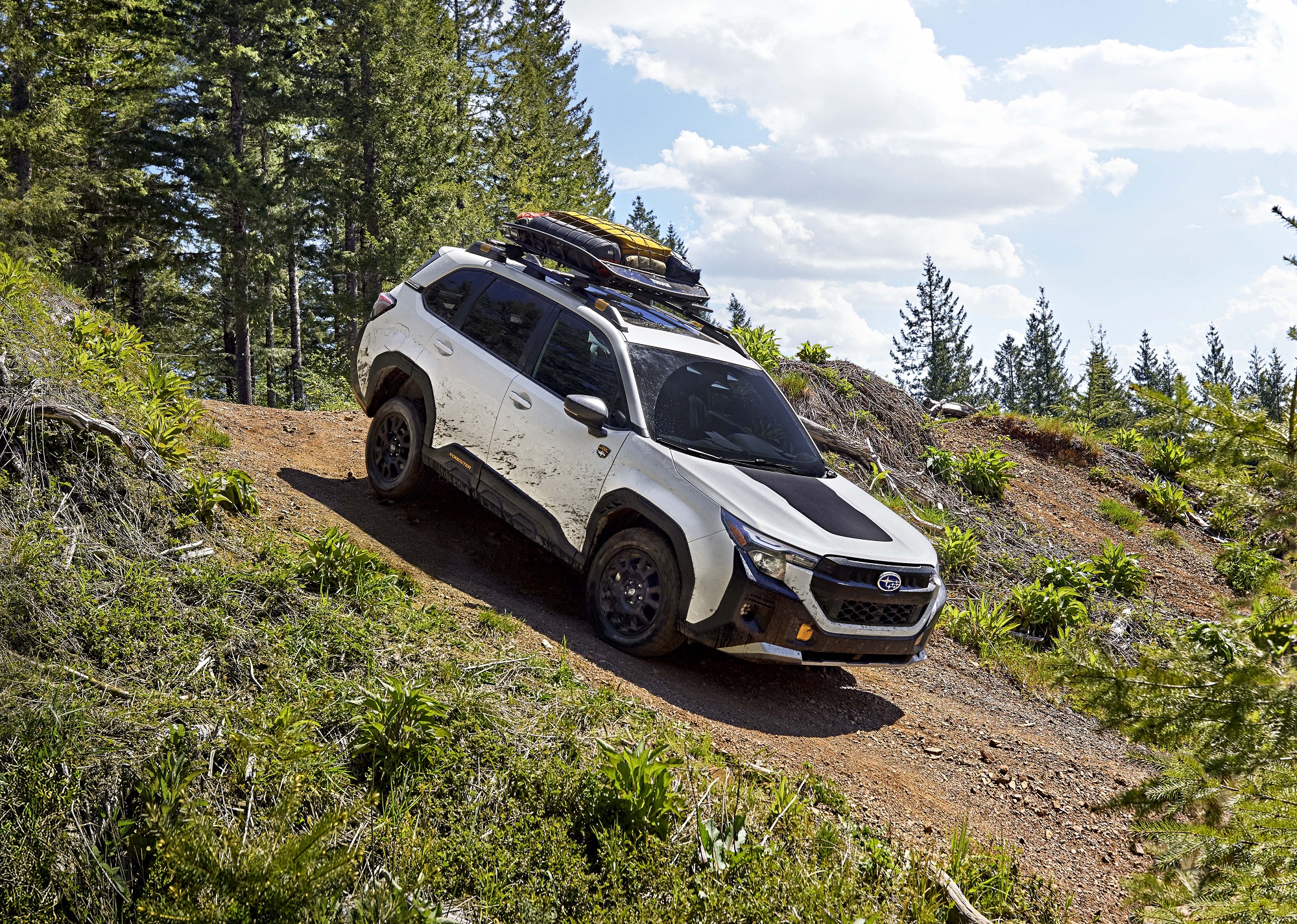 Новый Subaru Forester Wilderness, Subaru Forester Wilderness, Subaru Forester, Subaru Forester, новый Subaru Forester