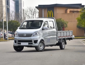 Changan T10EV Pick-Up 2021 - 1 | bex-auto.com