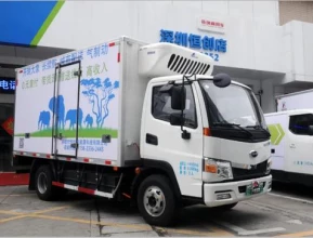 CHERY ELEPHANT REFRIGERATOR 2022 - 2 